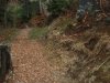 IMG_1971-2018_08_10-11_11_37-UTC-Kopie