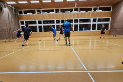 Halle 2024