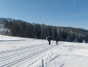 scl-langlauf09-06