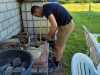 IMG-20220527-WA0019