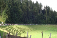 S2 Challenge 2011
