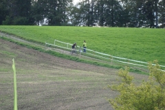 2008