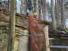IMG-20250223-WA0004