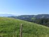 IMG-20200809-WA0020
