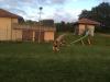IMG-20200717-WA0001