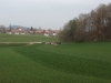 Vita2014_013
