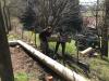 IMG-20200404-WA0003