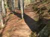 IMG-20200404-WA0005