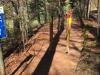 IMG-20200404-WA0006