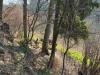 IMG-20220326-WA0001
