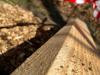 IMG-20220326-WA0002