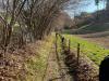 IMG-20220326-WA0011