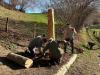 IMG-20220326-WA0012