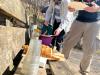 IMG-20220326-WA0016