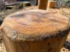 IMG-20220326-WA0024