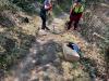 IMG-20220326-WA0029