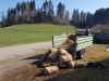 IMG-20220326-WA0048