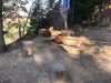 IMG-20220326-WA0081