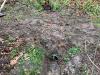 IMG-20240323-WA0011