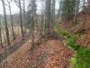 IMG-20240323-WA0042